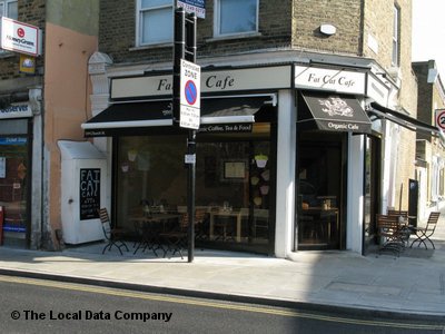 Fat Cat Cafe