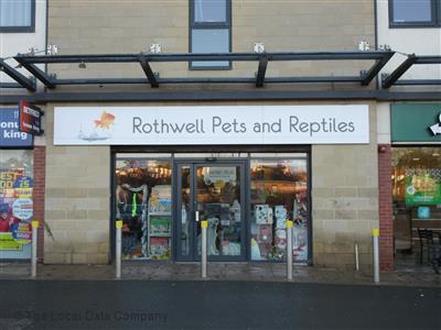 nutrena loyall life puppy food near me